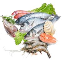 Рыба и рыбные продукты