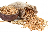 Пшеница (5 кг)