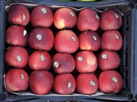 Яблоки сезонные красные ( ящик 7 кг)