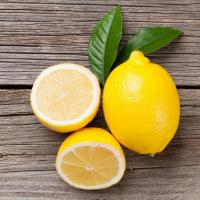 Лимон "Новый урожай"