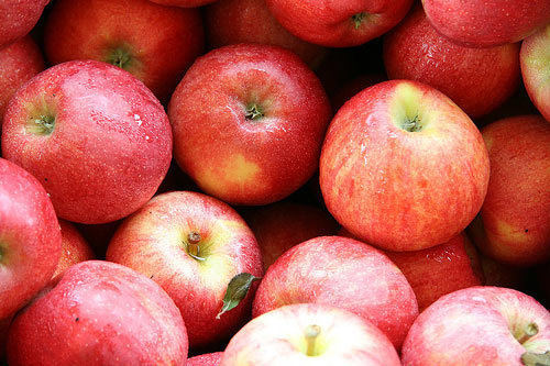 Яблоки Новый урожай Галла Реаль